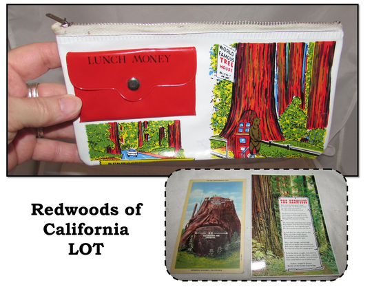 Vintage Souvenir Redwood Highway Lot, Zippered Vinyl Pouch/Pencil Bag & 2 Postcards, California