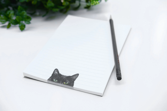 Black Cat Notepad & Pencil Set For The Cat Lover