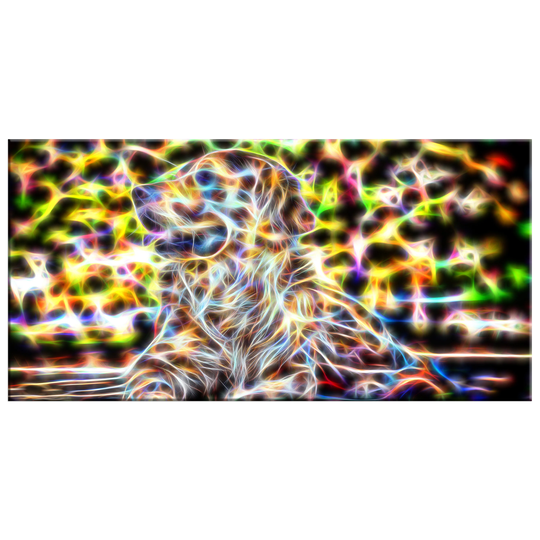 Colorful Retriever Animal Art (Multiple Sizes)