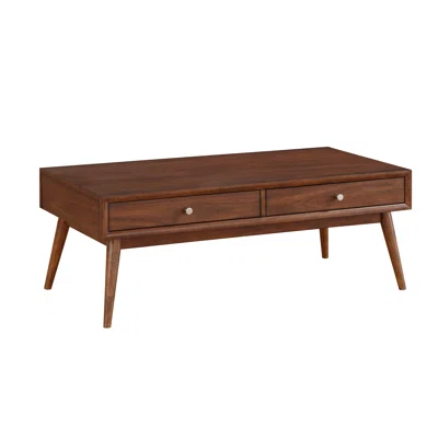 Vasily 48 In. Brown Rectangular Wood Coffee Table With Two Functional Drawers