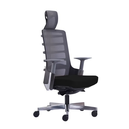 Rye Studio Mesh High Back Modern Ergonomic Office Chair