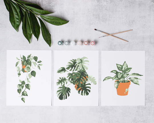Tropical Potted Plants Paint By Number Kit/Mothers Day Gift/Custom Number/Kids Craft Kit/Adult Coloring Kit/Modern