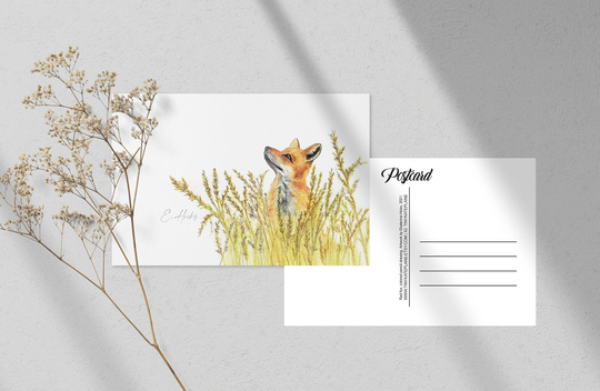 4x6 Red Fox Postcard, Colored Pencil Art Print Postcard For Postcrossing, Penpal Forest Animal Print. Pc-121