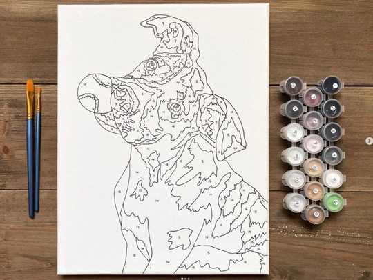 Handmade Paint By Number Kit, Custom Pet Portrait, Hand Drawn With Mixed Paints, Personalized Painting Color Numbers