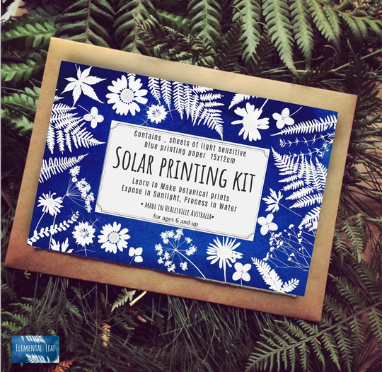 Diy Solar Printing Kit, Craft Cyanotype Craft Gifts To Make