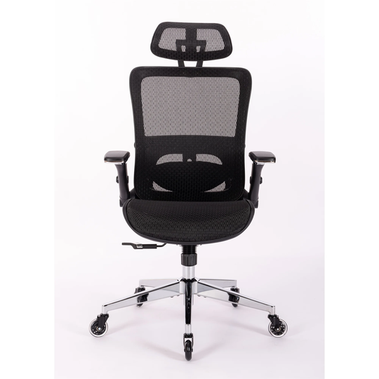 Rolling Office Mesh Ergonomic Chair with Adjustable Flip Armrests