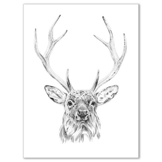 Designart 'Pencil Deer Sketch in Black and White' Animals Print on Wrapped Canvas - White