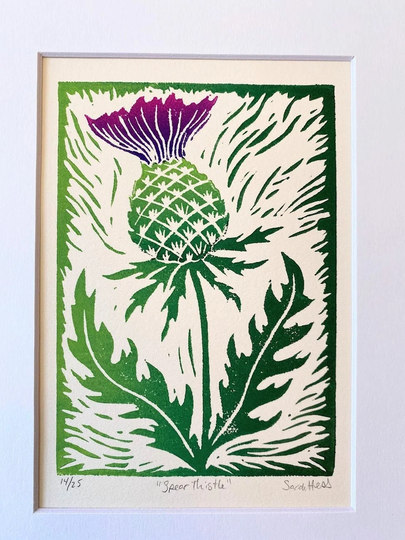 Spear Thistle - Colorful Block Print