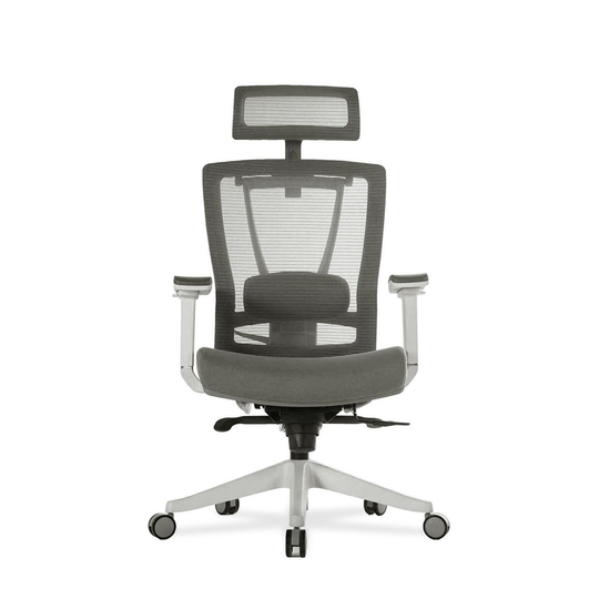 Ultimate Adjustable Ergonomic Desk Chair with Multi-way Lumbar Support, Thick Cushion, 350 lbs Weight Capacity
