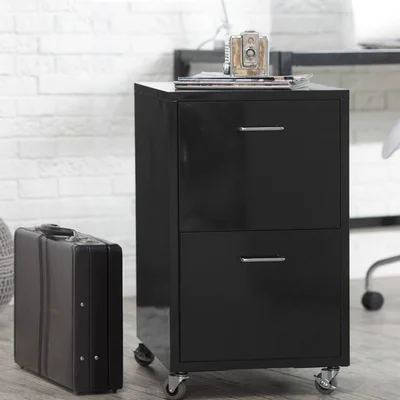 Burroughs 2 Drawer Modern Mobile Metal File Cabinet