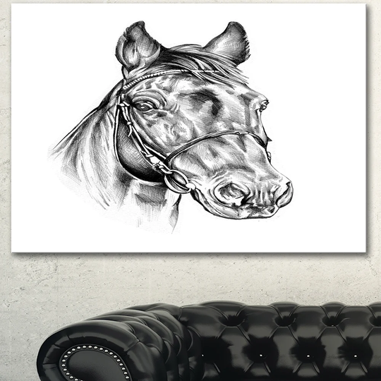Designart 'Freehand Horse Head Pencil Drawing' Modern Animal Canvas Wall Artwork Print - White