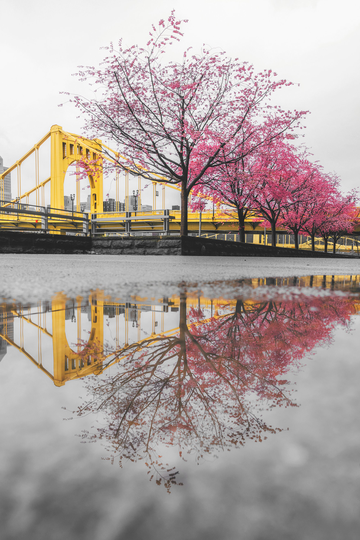 Colorful Reflections After The Rain - Pittsburgh Skyline Various Prints