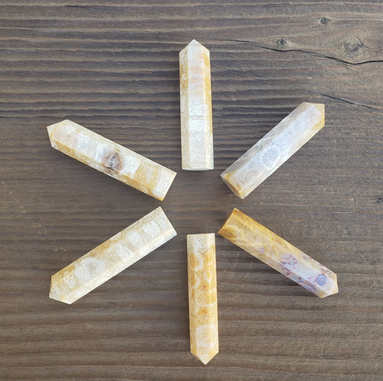 Natural Coral Fossil Single Terminated Gemstone Crystal Pencil Point | One