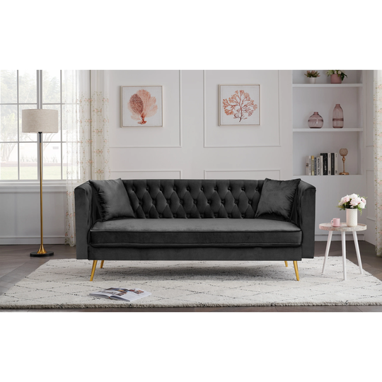 Modern Velvet Upholstered Sofas & Couches Living Room Loveseat with Removable Cushions and Metal Leg, Included 2 Pillows