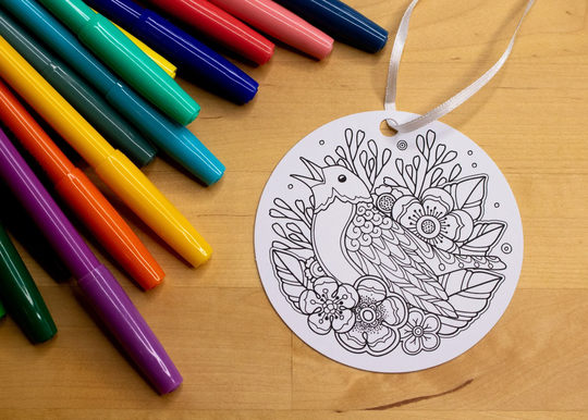 Bird Coloring Christmas Tree Ornament Holiday Stocking Stuffer Adult Kids Project Color Relaxation Diy Meditation Birds Birding Robin Flower
