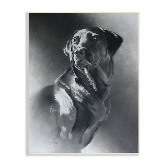 Stupell Industries Charcoal Pencil Labrador Dog Portrait Vintage Pet Wood Wall Art