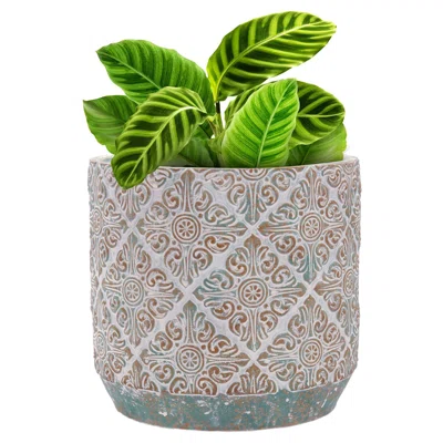 Kaleson Ceramic Pot Planter