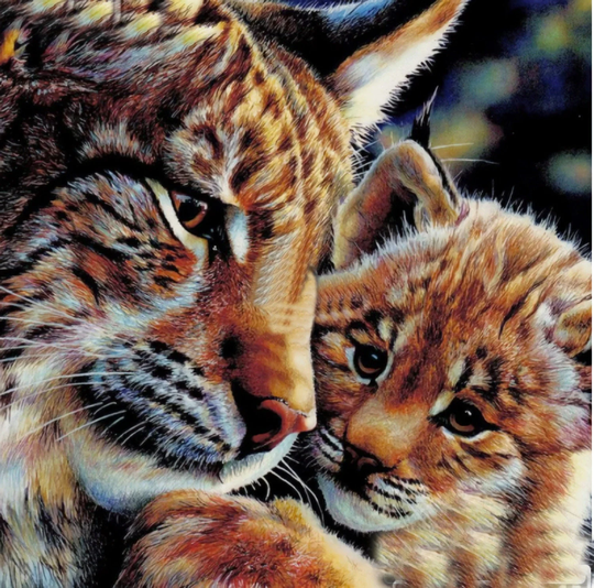 Lynx & Cub Diy 5D Diamond Painting Kit Full Square Round Drill