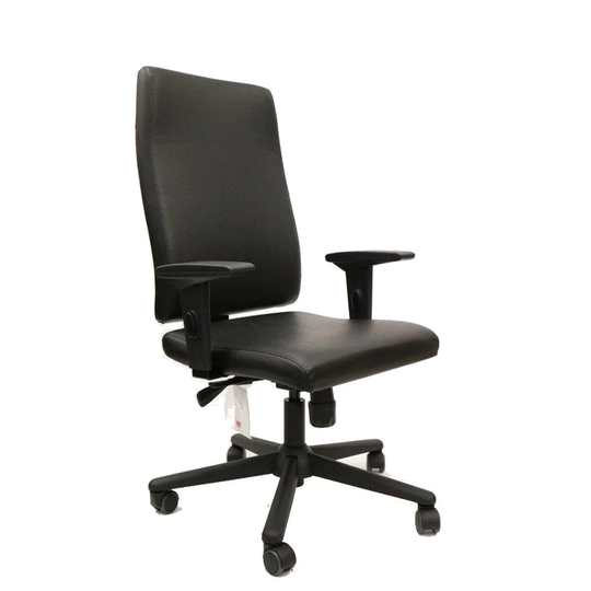 CavilUSA Slim Office Chair