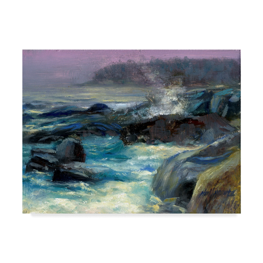 Hall Groat Ii 'Gull Cove Monhegan Island' Canvas Art - Multi-color