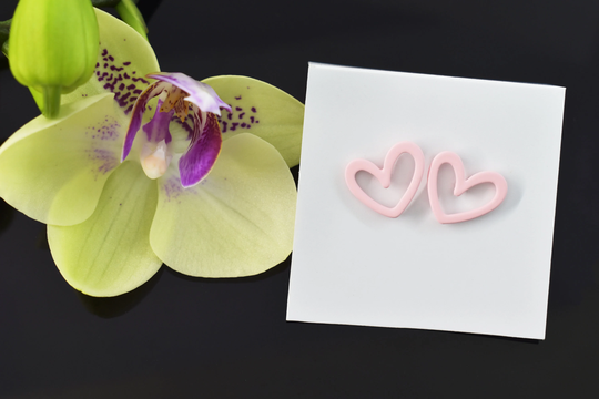 Color Earrings, Ce-Ear04Ph, 2Pcs, Matte Enamel Coated Brass, Pink, Colored Heart Heart 14x12mm