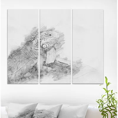 'Black and White Iguana Pencil Sketch' Drawing Print Multi-Piece Image on Wrapped Canvas