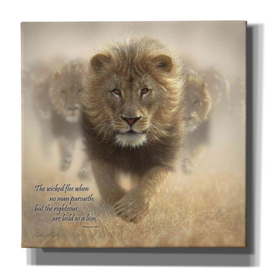 Epic Graffiti 'Wicked Flee' by Collin Bogle, Canvas Wall Art