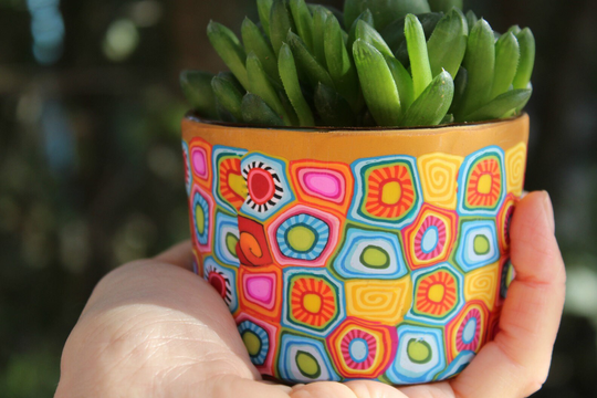 Small Colorful Indoor Succulent Planter