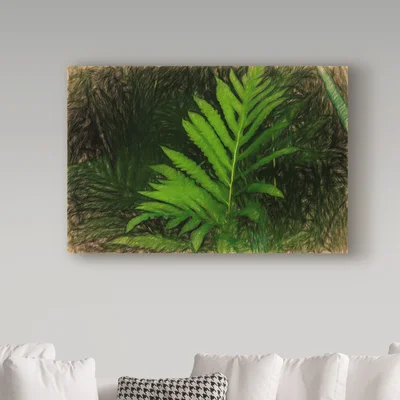 'Liquid Pencil Drawing Green Ferns' Vintage Advertisement on Wrapped Canvas
