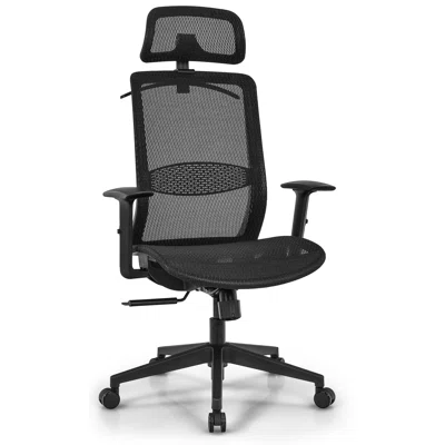 Jnasia Ergonomic Office Chair