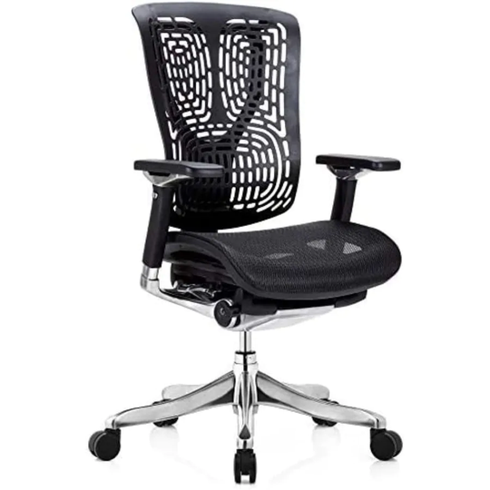 GM Seating Ergobilt High-Back Ergonomic Office Chair - Large Mesh Chair with Lumbar Support