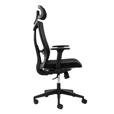 Ergonomic Mesh Office Chair