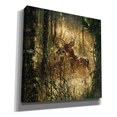 Millwood Pines 'A Golden Moment' By Collin Bogle, Canvas Wall Art