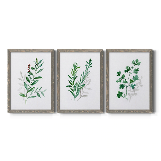 Freshly Picked I-Premium Framed Canvas - Ready to Hang - Multi-Color