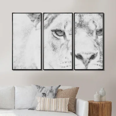 Black And White Lion Pencil Sketch - Animal Framed Canvas Wall Art Set Of 3