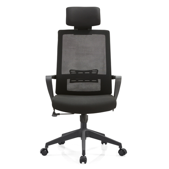 Home Office Chairs Ergonomic Desk Chair with Lumbar Support