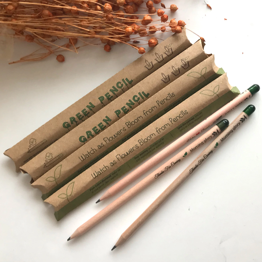 Boxed Seed Pencil, Thank You Gift, Graduation Blooming Regali Laurea, Back To School, Let Love Grow, Staff Gifts