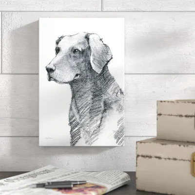 Hans Sitting Pretty by Avery Tillmon - Drawing Print on Canvas