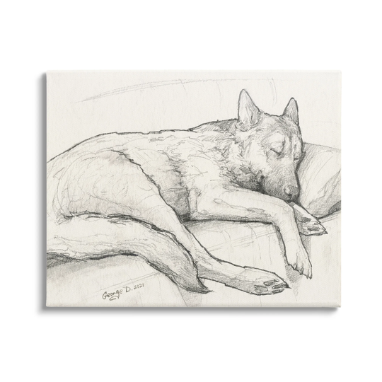 Stupell Industries Dog Curled Up Resting Detailed Graphite Pencil Drawing Canvas Wall Art, Design by George Dyachenko