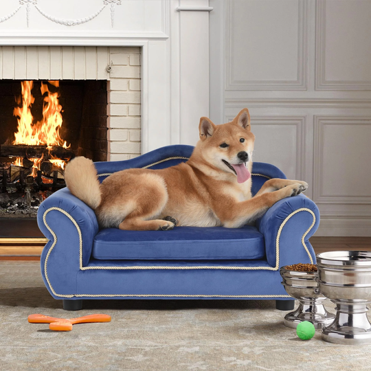 26.8 in. Wide Rolled Arm Velvet Wooden Frame Dog or Pets 2-Seat Sofa with Removable Cushion