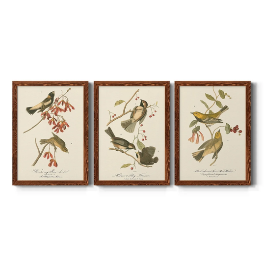 Wandering Rice Bird-Premium Framed Canvas - Ready to Hang - Multi-Color