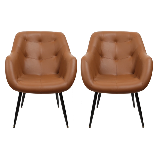 Modern Faux Leather Accent Arm Chair Sofa Chair for Living Room - Set of 2