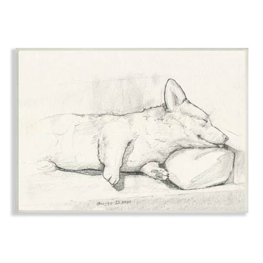 Stupell Industries Corgi Dog Lolling Tongue Graphite Pencil Sketch Wood Wall Art, Design by George Dyachenko - Off-White
