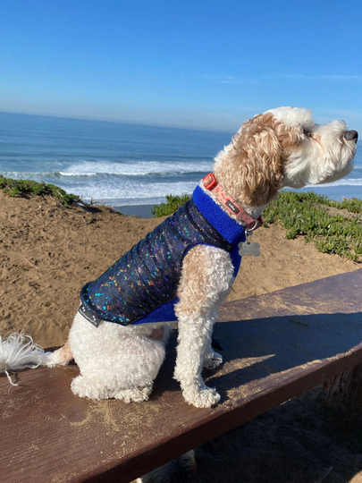 Sale Dog Sweater With Holographic Spandex | Coat, Jacket, Jumper, Pullover, Small Dog, Quilted, Fleece, Festival