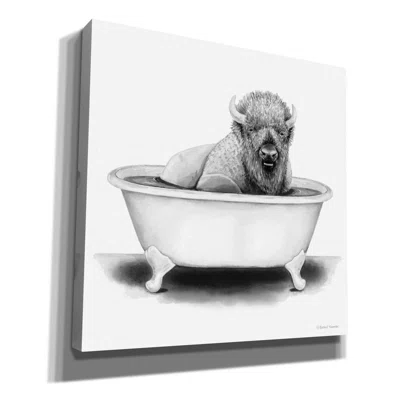 Bison in Tub by Rachel Nieman - Wrapped Canvas Drawing Print