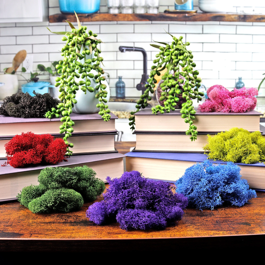 3.5 Oz Mixed Color Reindeer Moss - 7 Colors 0.5 Each For Floral Arrangements, Vase Fillers, Arts & Crafts, & Fairy Garden