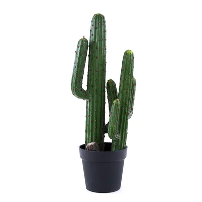 20" Artificial Cactus Plant in Pot