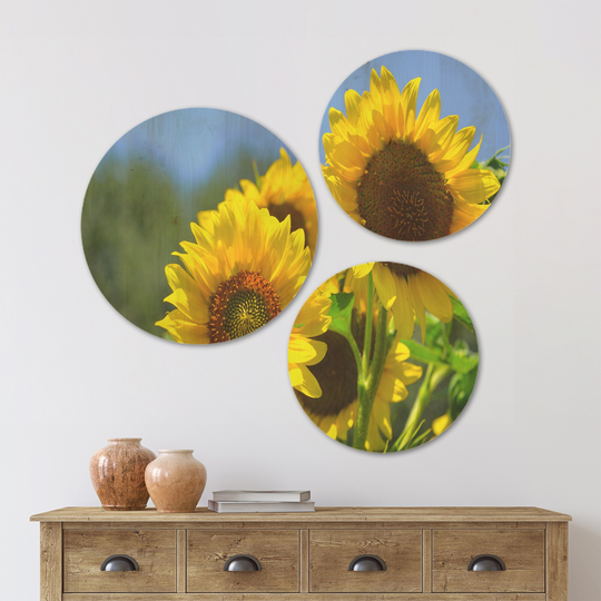 Designart 'Beautiful Sunflowers View' Floral Wood Wall Art Set of 3 Circles - Multi-Color