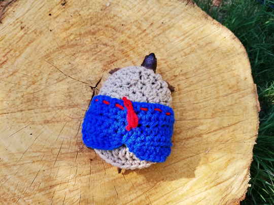 Boardshort Swimsuit Inspired Costume For Turtles/ Tortoises