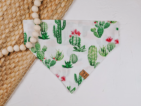 Cactus Fields Pet Bandana | Succulent Dog Desert Summer Bandanas Accessories Spring